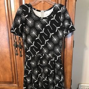 Lularoe Amelia with Dandelion print